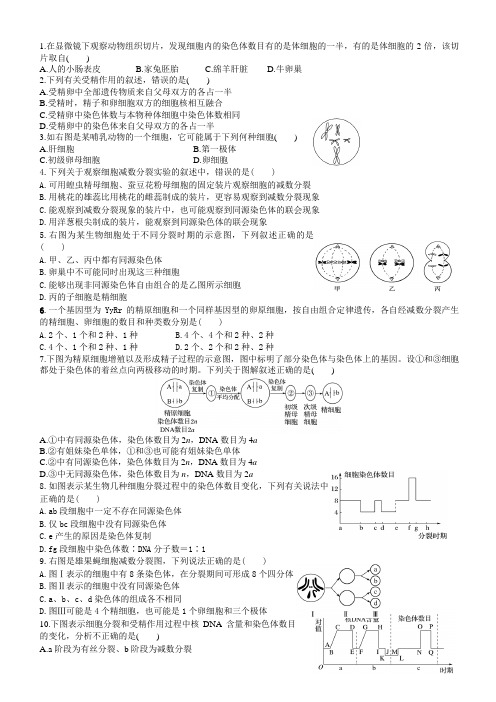 必修2  减数分裂和受精作用练习试题(答案不全)