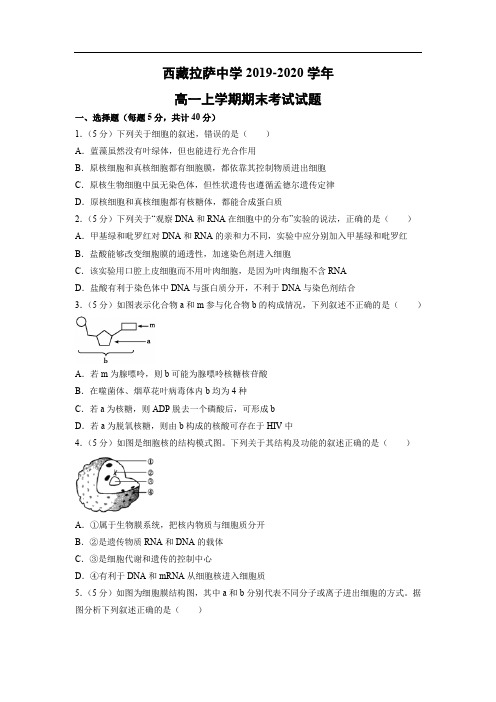 【生物】西藏拉萨中学2019-2020学年高一上学期期末考试试题(解析版)