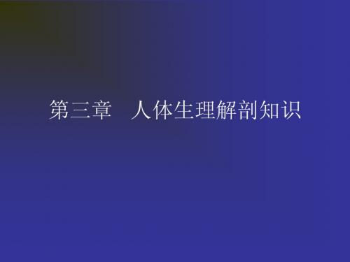 护理员培训第三章   人体生理解剖知识