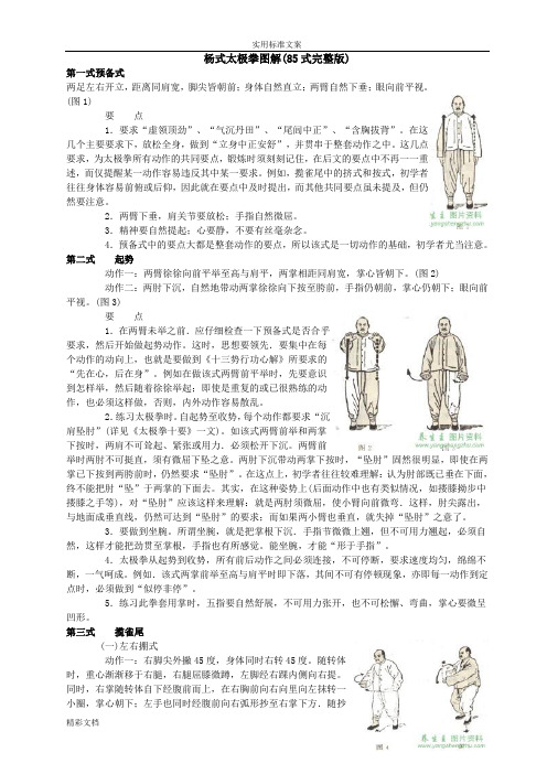 杨式85式太极拳现用图解(完整版)