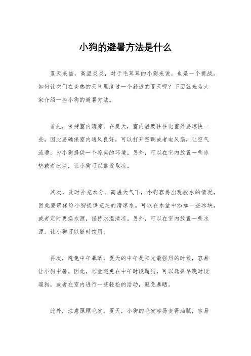 小狗的避暑方法是什么