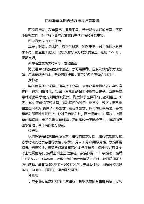 西府海棠花的养殖方法和注意事项