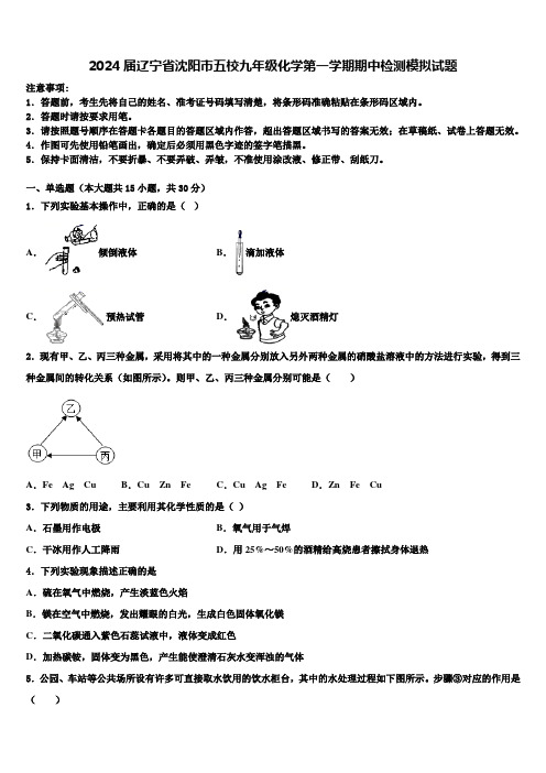 2024届辽宁省沈阳市五校九年级化学第一学期期中检测模拟试题含解析