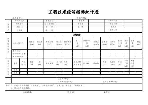 工程技术经济指标统计表模板