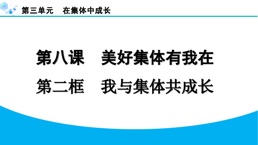 2024年部编版七年级道德与法治下册我与集体共成长课堂练习题及答案