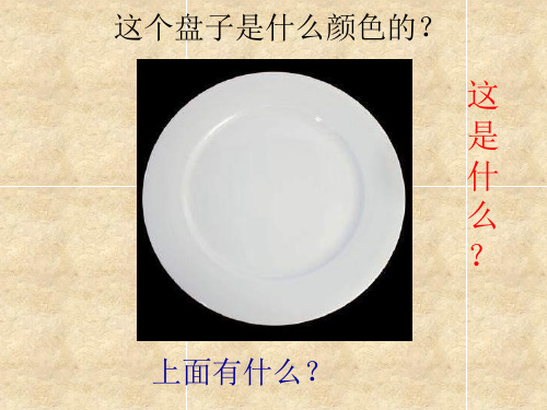 二年级下美术课件(D)青花盘_苏少版