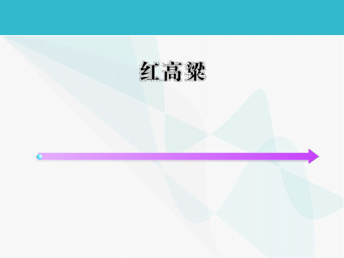 人教版高中语文选修-中国小说欣赏：《红高粱》_课件3