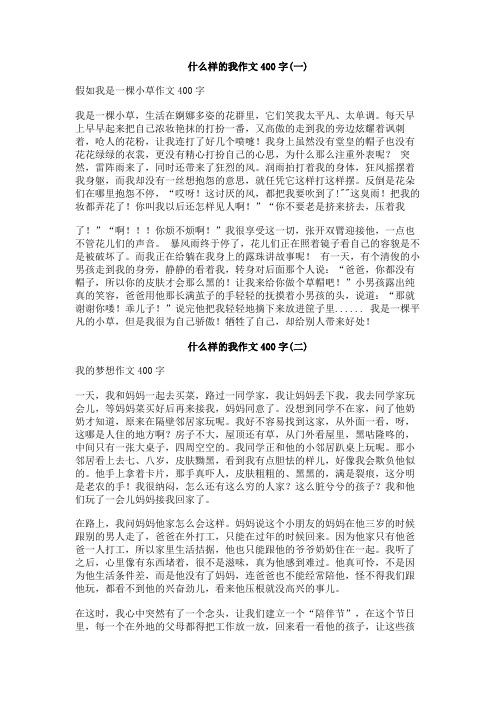 什么样的我作文400字