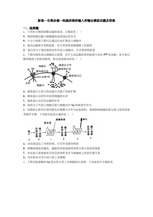 新高一生物必修一细胞的物质输入和输出模拟试题及答案