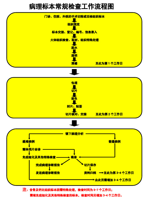 病理标本常规检查工作流程
