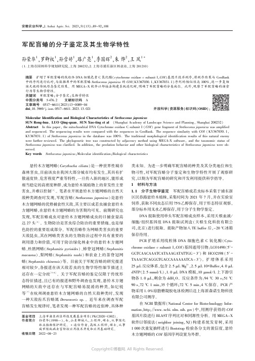 军配盲蝽的分子鉴定及其生物学特性