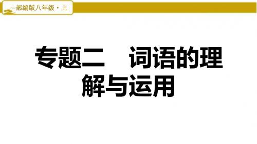 部编版初中语文八年级上册专题二(词语的理解与运用)