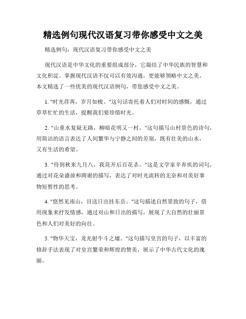 精选例句现代汉语复习带你感受中文之美