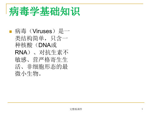 病毒学基础知识ppt课件