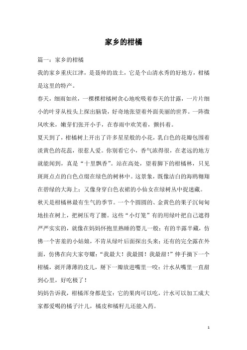 家乡的柑橘_2