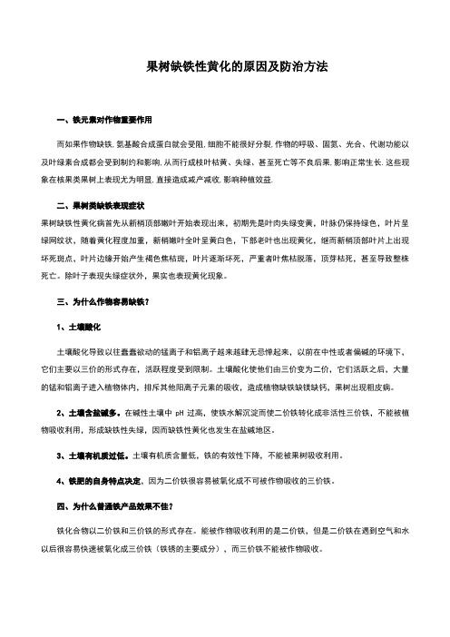 果树缺铁性黄化的原因及防治方法