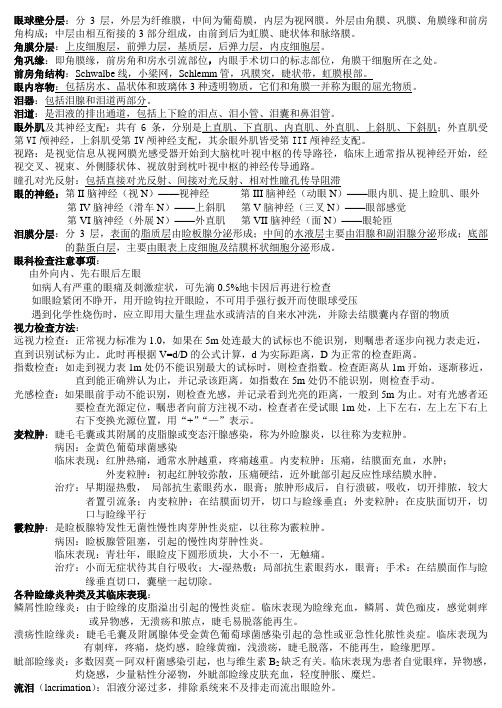 眼球壁分层