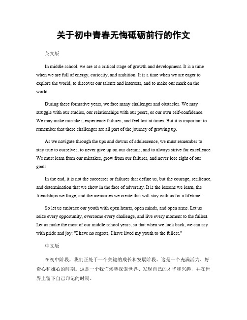 关于初中青春无悔砥砺前行的作文