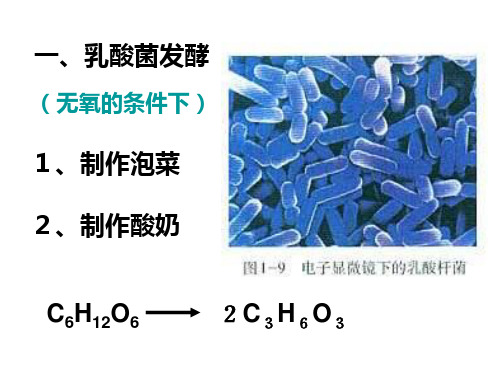 制作泡菜并检测亚硝酸盐含量1(PPT)5-1