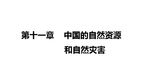 中考考点全攻略 第三部分 中国地理 第十一章 中国的自然资源和自然灾害