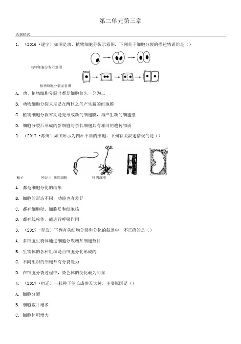 山东省淄博市2018年中考生物实战演练六上第二单元第三章.doc