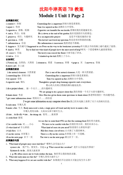 沈阳牛津英语7B精品教案