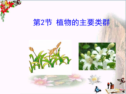 《植物的主要类群》PPT