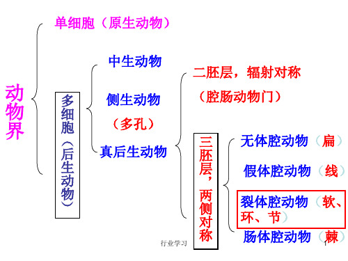 第9章 节肢动物门——甲壳纲、蛛形纲、多足纲(高等教学)