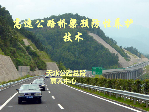 高速公路桥梁预防性养护.