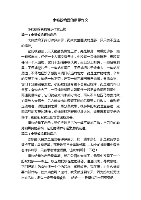 小蚂蚁给我的启示作文五篇