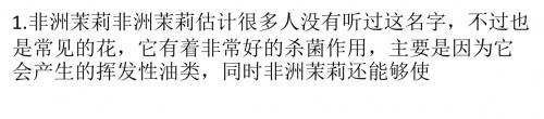 新房装修完除甲醛方法 摆放绿植逼格高还净化空气
