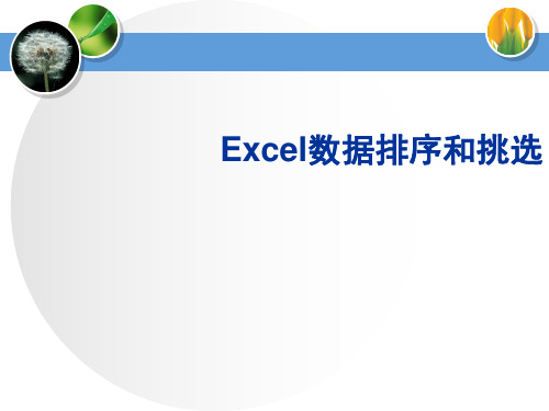 黑教版信息技术四年级下册4.数据排序和筛选课件