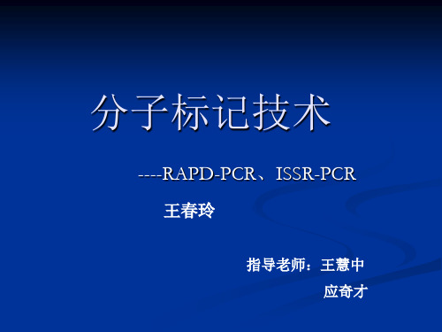 分子标记-RAPD和ISSR