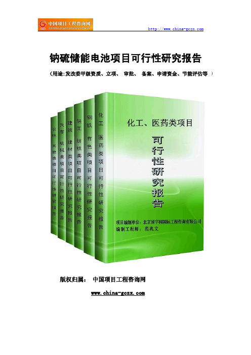 钠硫储能电池项目可行性研究报告(专业经典案例)