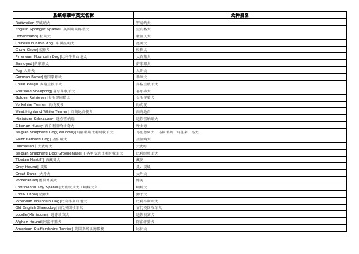 犬种标准中英文名称