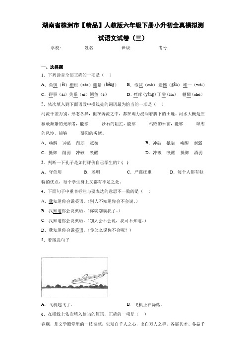 人教版六年级下册小升初全真模拟测试语文试卷(三)(含答案解析)