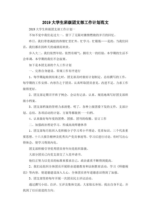 最新-2019大学生班级团支部工作计划范文 精品