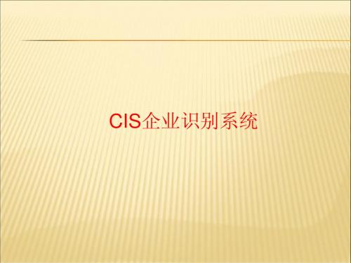 CIS 理论