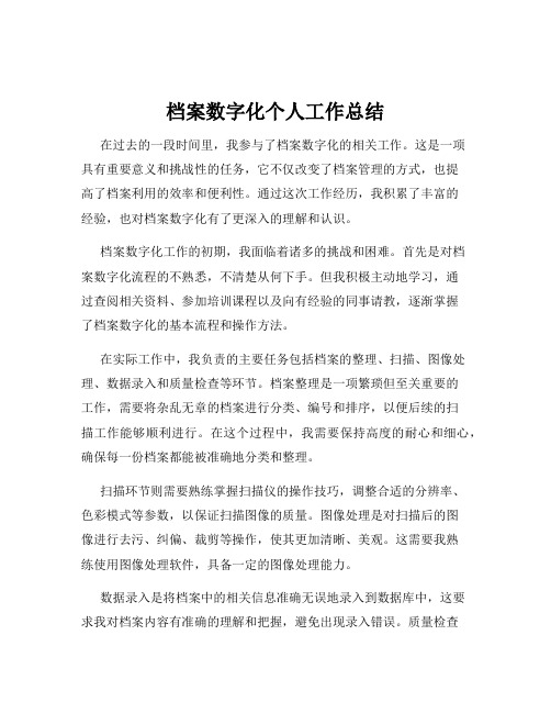 档案数字化个人工作总结