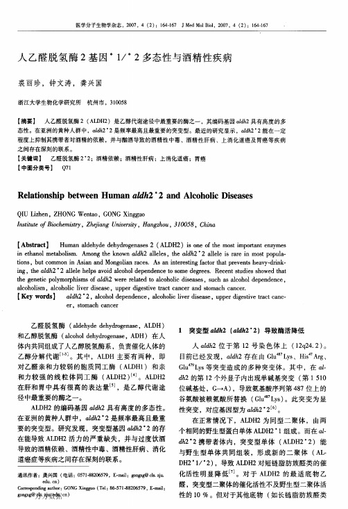 人乙醛脱氢酶2基因-1--2多态性与酒精性疾病