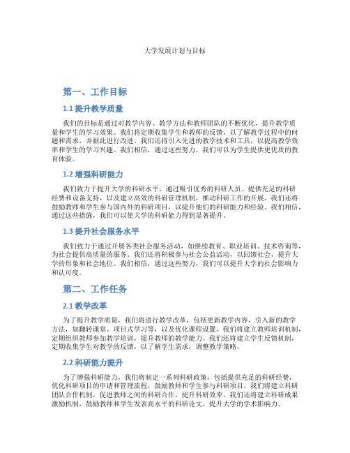 大学发展计划与目标