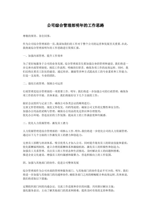 公司综合管理部明年的工作思路