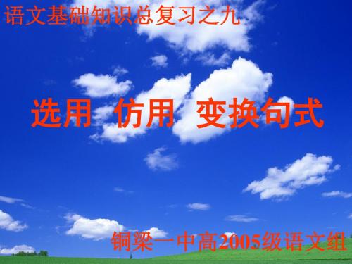 高考复习选用、仿用、变换句式PPT8 (共28张PPT)