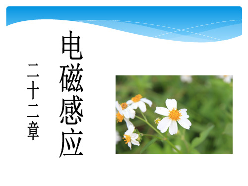 22章电磁感应2013.ppt