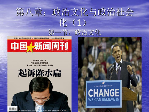 第八章:政治文化与政治社会化(1)