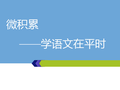 高考语文一轮复习：第四板块-专题(1)微积累——学语文在平时  清单五考点二