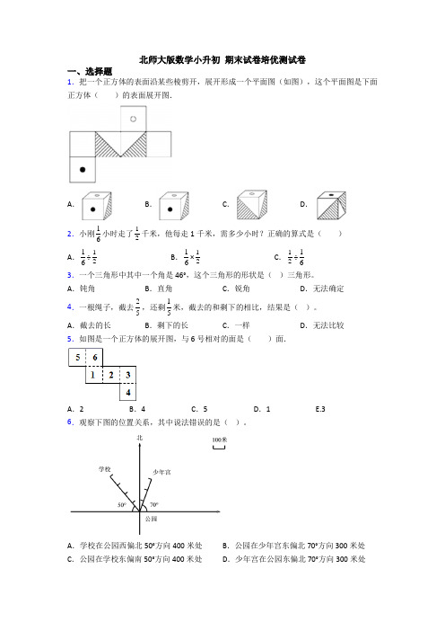 北师大版数学小升初 期末试卷培优测试卷