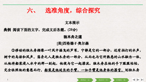 2019届高考语文复习【探究类散文阅读题】专题及解析PPT