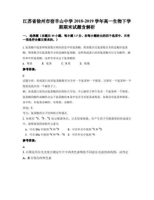 江苏省徐州市宿羊山中学2018-2019学年高一生物下学期期末试题含解析
