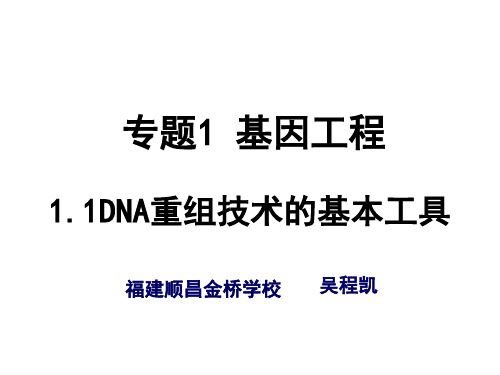 1.1 DNA重组技术的基本工具